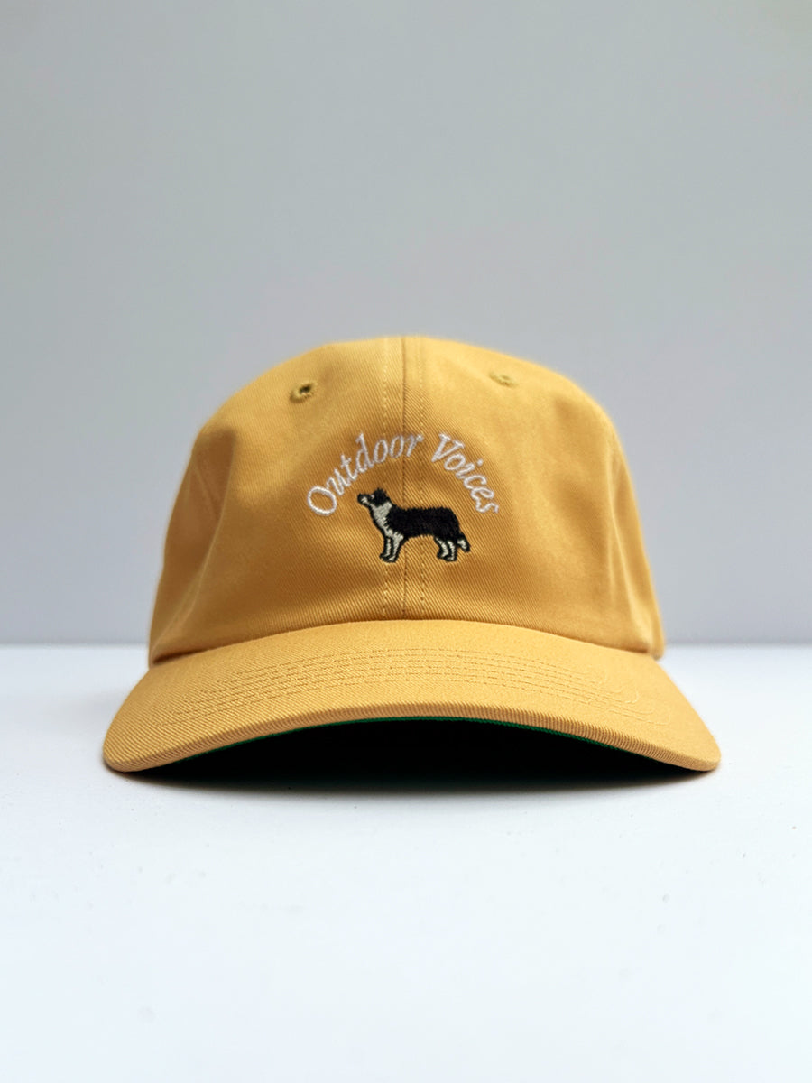 Doing Good Things Dog Hat Outdoor Voices